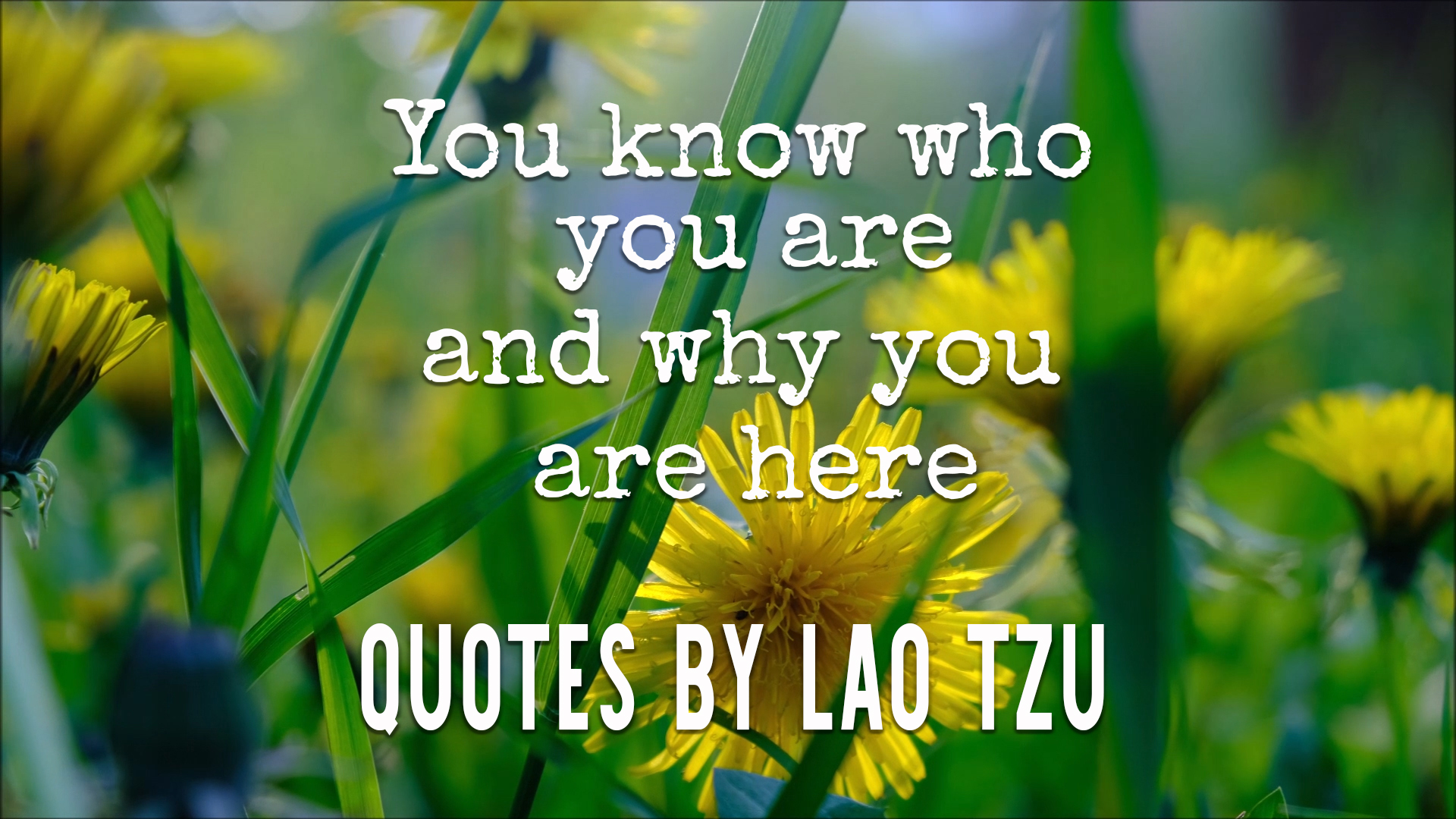 The Wisdom of Lao Tzu