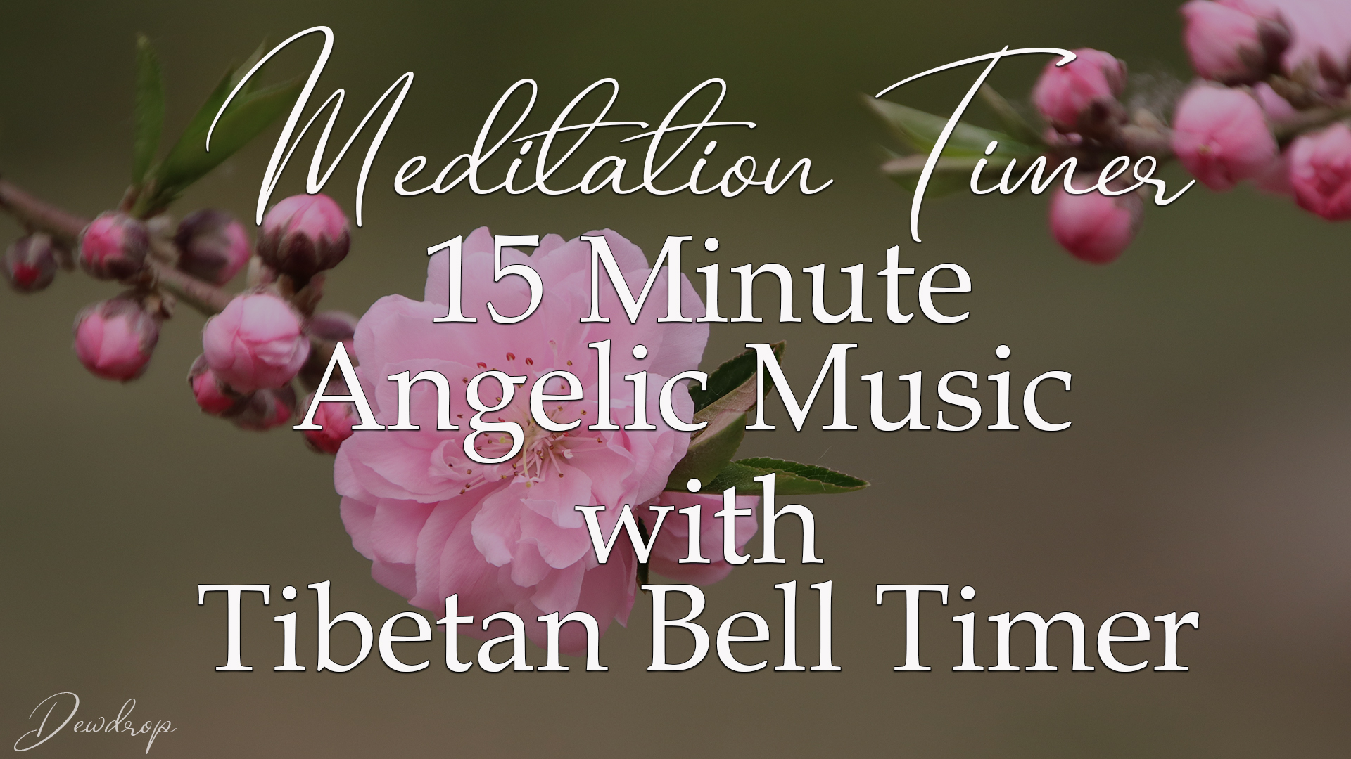 All Loving Angel ~ 15 Minute Timer for Meditation and Savasana